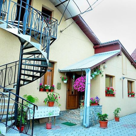 Casa Maria Gura Humorului Exterior foto