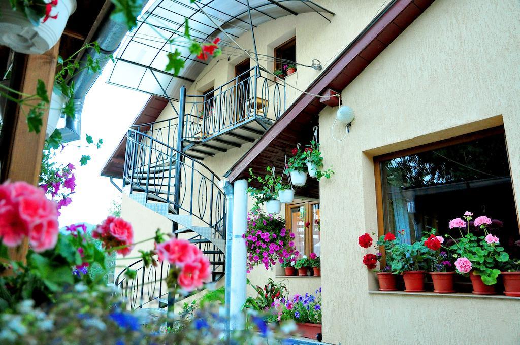 Casa Maria Gura Humorului Exterior foto