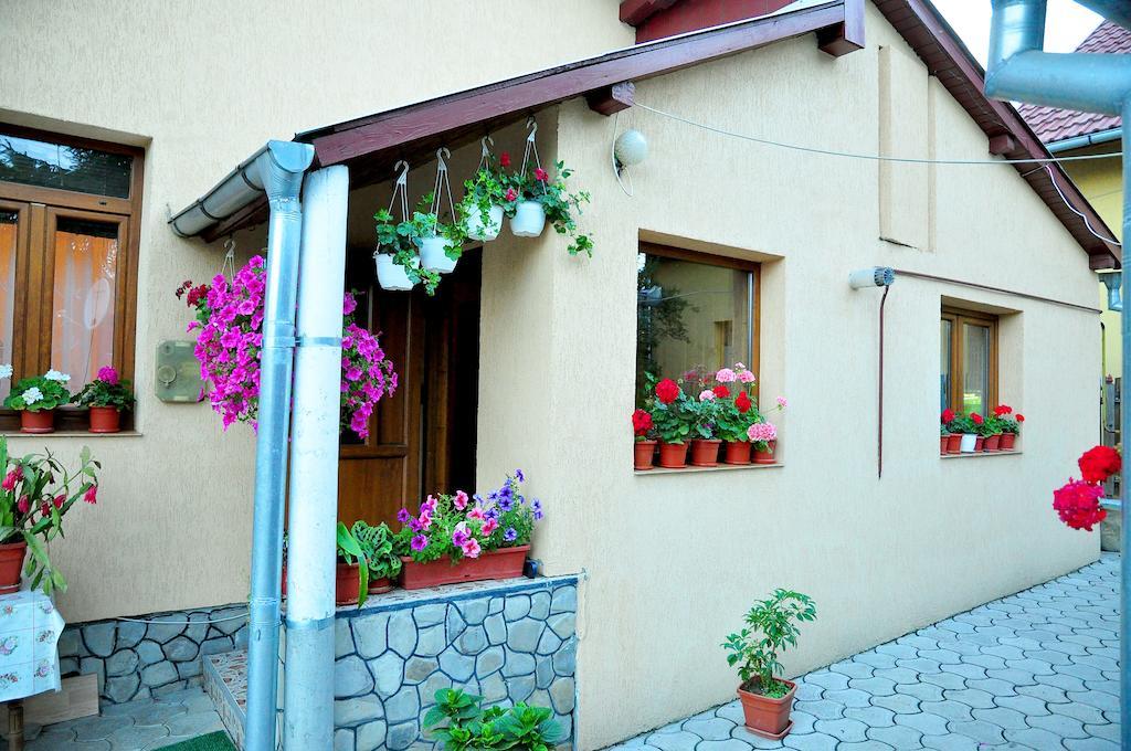 Casa Maria Gura Humorului Exterior foto